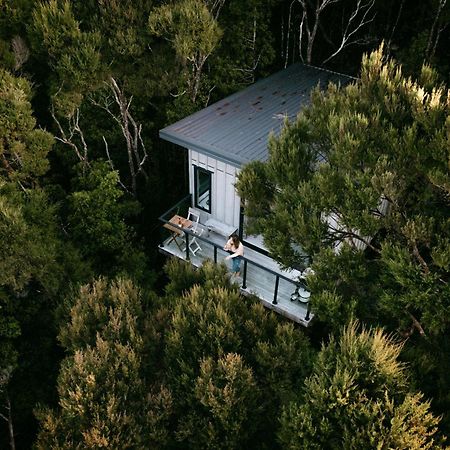 Treetop Tranquility At Rekindle Tree Houses Opua Ngoại thất bức ảnh