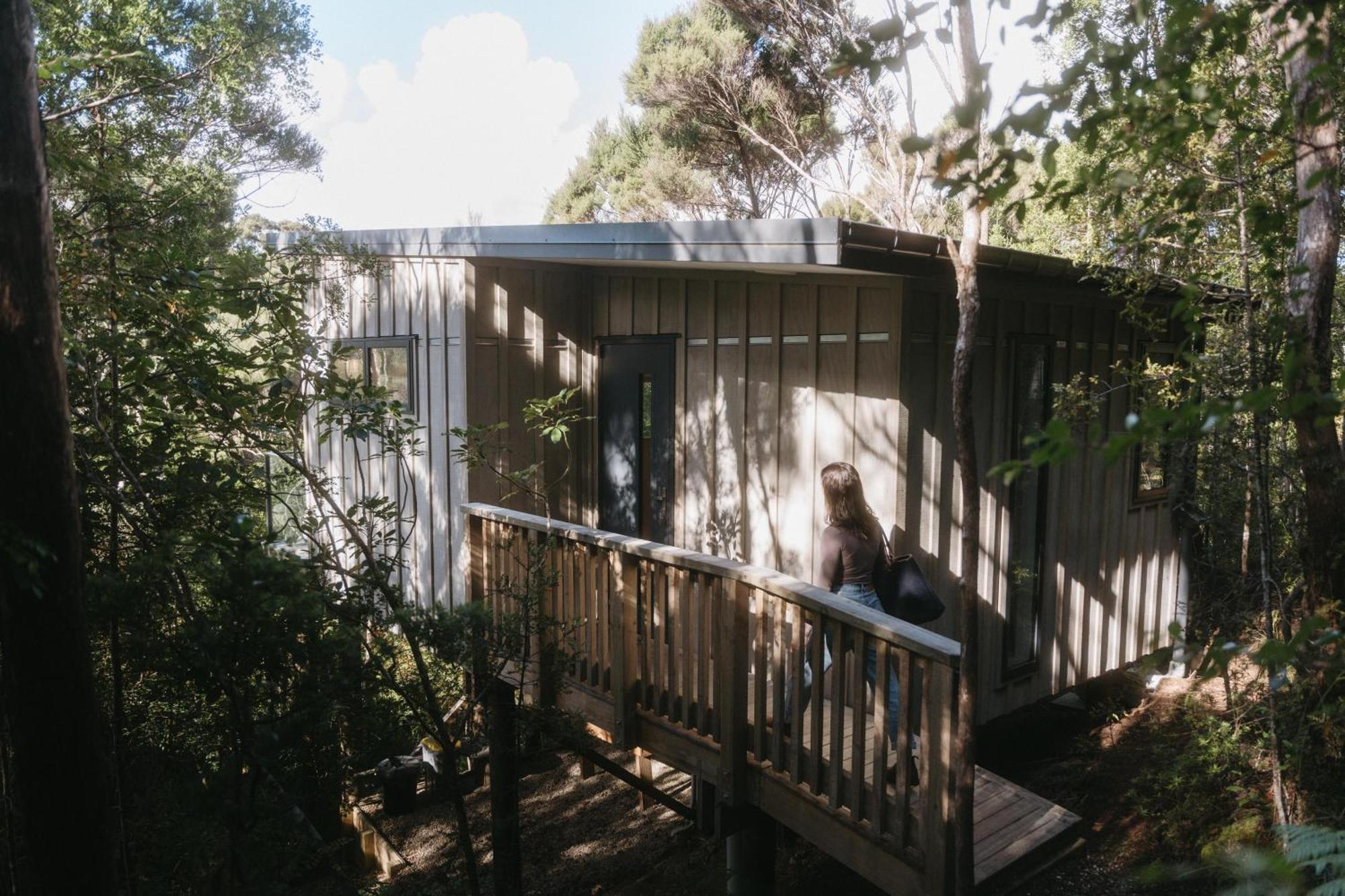 Treetop Tranquility At Rekindle Tree Houses Opua Ngoại thất bức ảnh