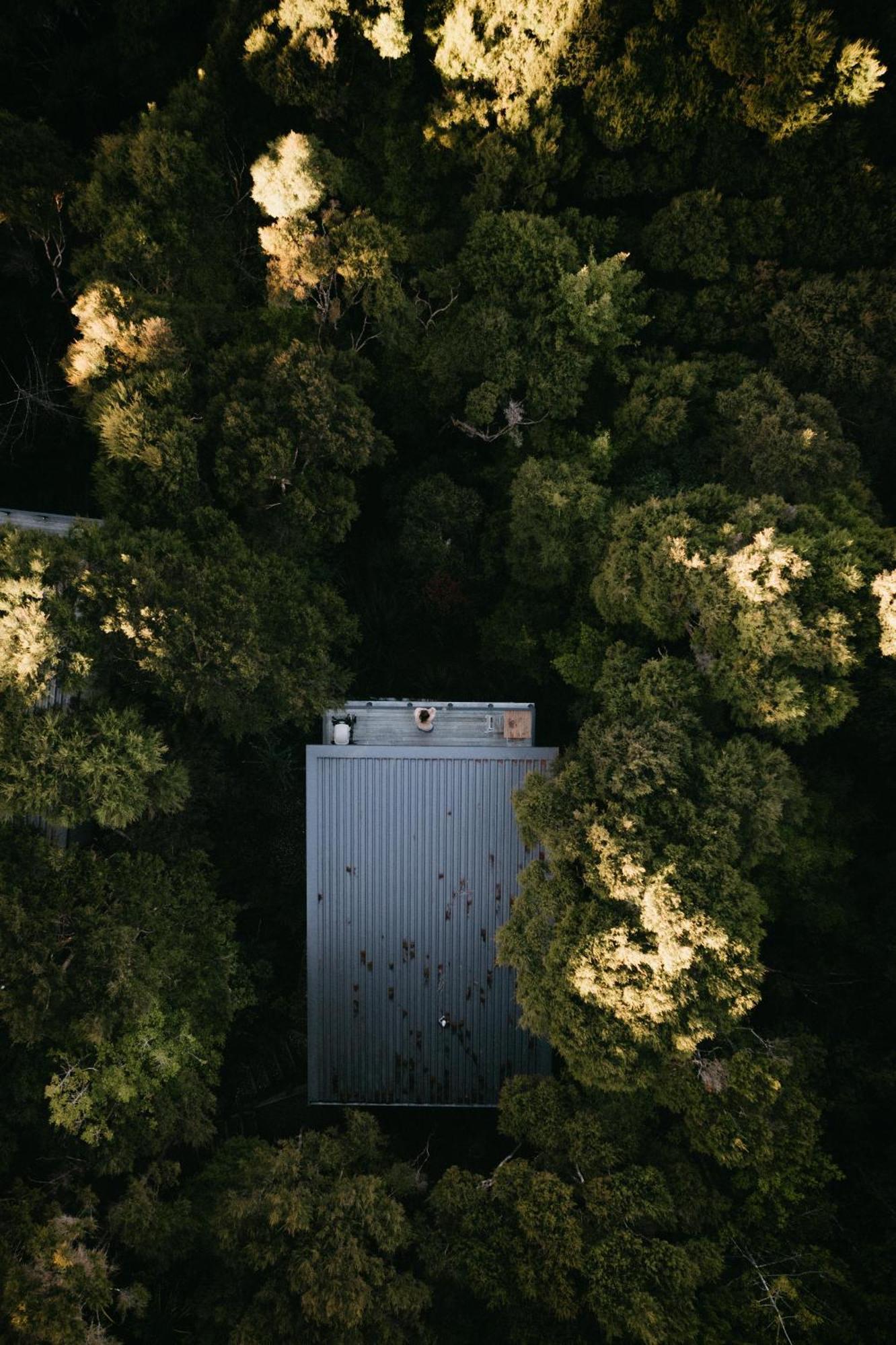 Treetop Tranquility At Rekindle Tree Houses Opua Ngoại thất bức ảnh